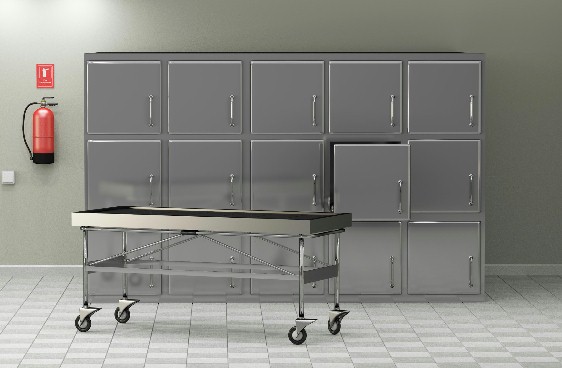 Cadaver Storage