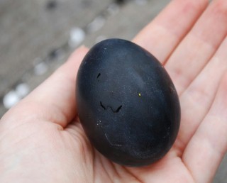 Rotten Egg