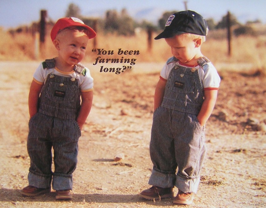 Young Farmers Talking